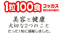 100shoku_top